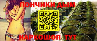 шишки Будённовск