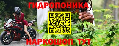 шишки Будённовск